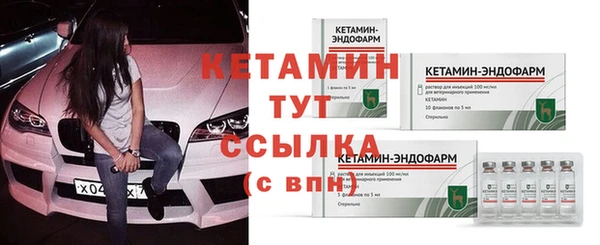 трава Гусь-Хрустальный