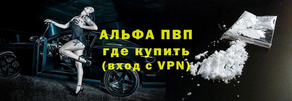 СК Гусев