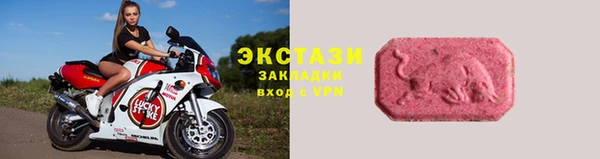 СК Гусев